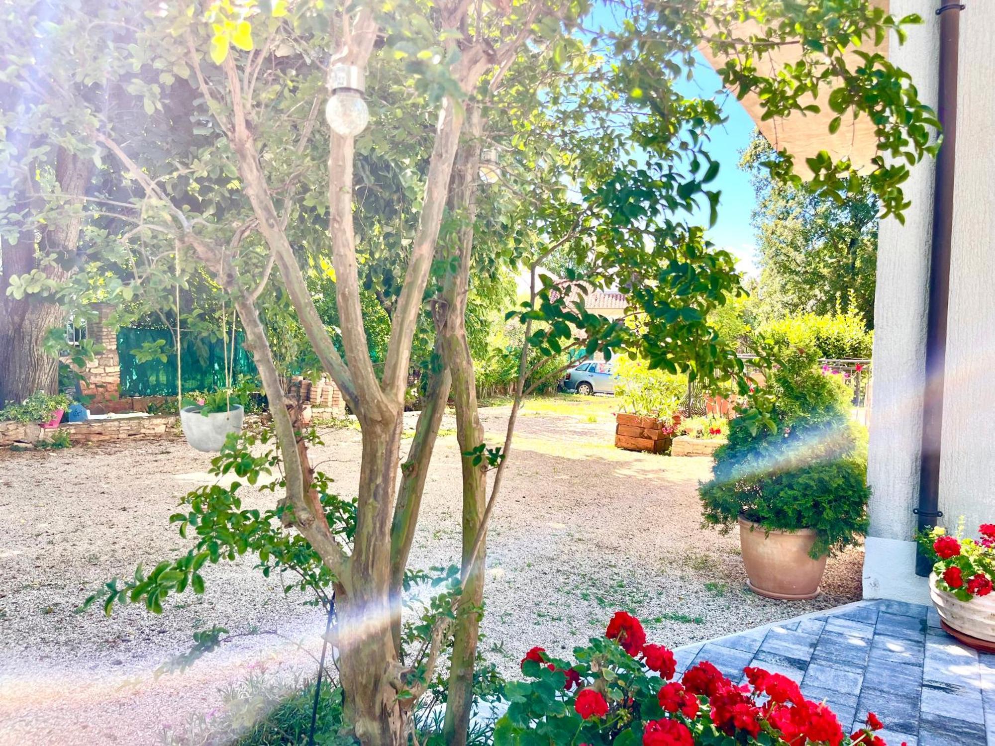 Apartment פורץ מראה חיצוני תמונה